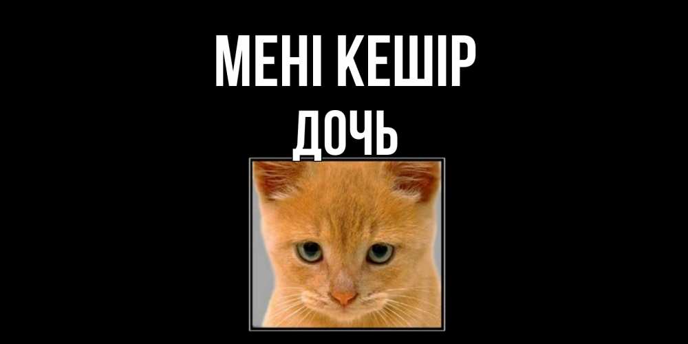 Күн сайын ашық хат с именем, Дочь Мені кешір рыжий грустный кот просит прощения Онлайн тегін жүктеп алу тілектері бар керемет карта 