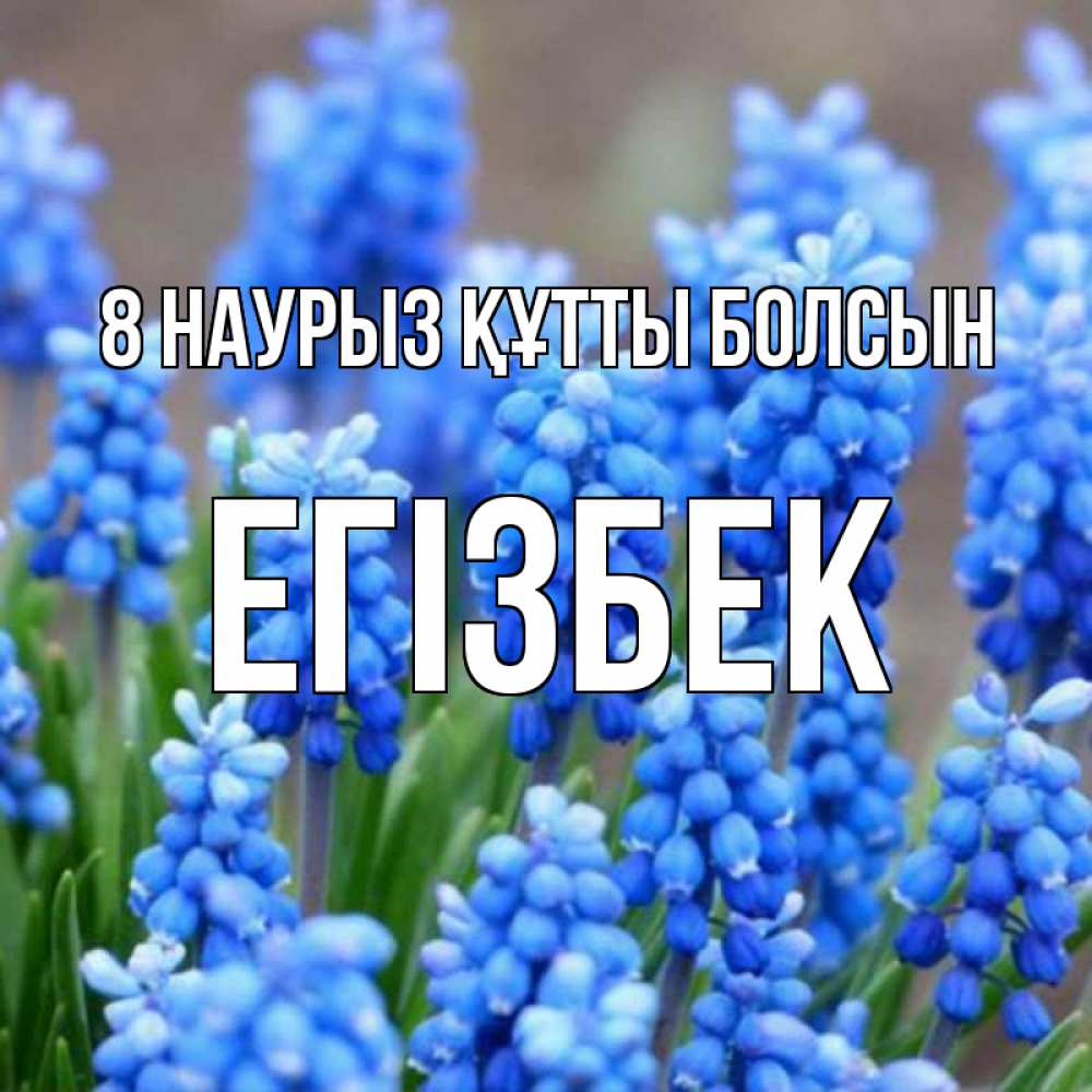 Күн сайын ашық хат с именем, Егізбек 8 наурыз құтты болсын Поздравительная открытка для женщин с цветами на праздничную дату Онлайн тегін жүктеп алу тілектері бар керемет карта 
