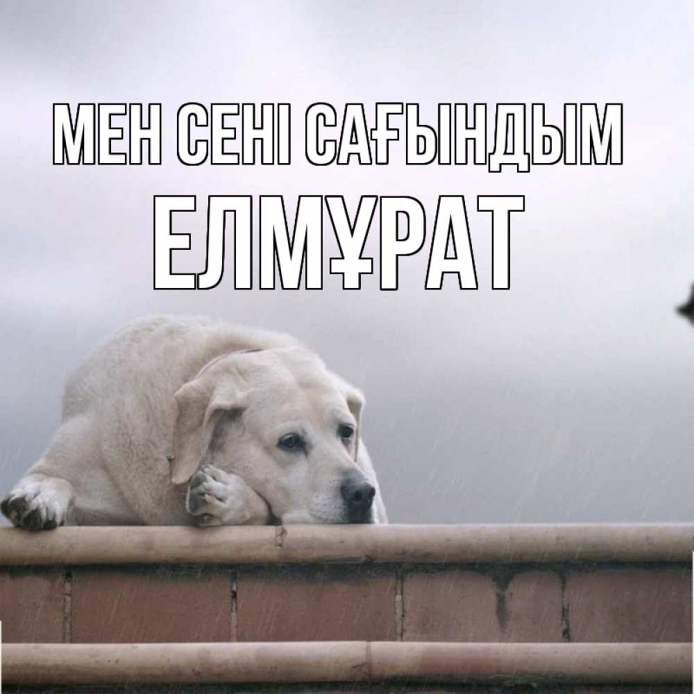 Күн сайын ашық хат с именем, Елмұрат Мен сені сағындым ждет Онлайн тегін жүктеп алу тілектері бар керемет карта 