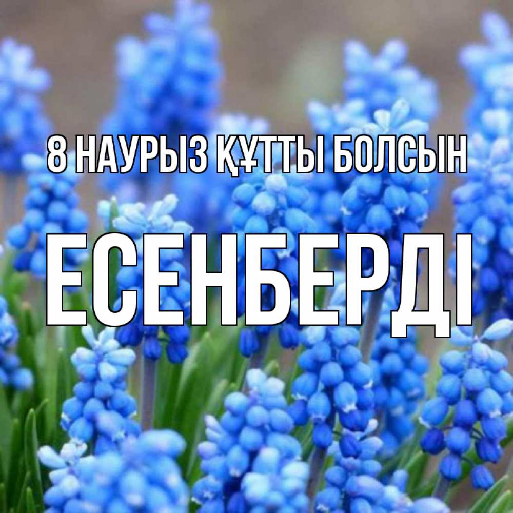 Күн сайын ашық хат с именем, Есенберді 8 наурыз құтты болсын Поздравительная открытка для женщин с цветами на праздничную дату Онлайн тегін жүктеп алу тілектері бар керемет карта 