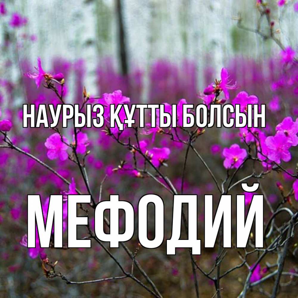 Күн сайын ашық хат с именем, Мефодий Наурыз құтты болсын дикие цветы Онлайн тегін жүктеп алу тілектері бар керемет карта 