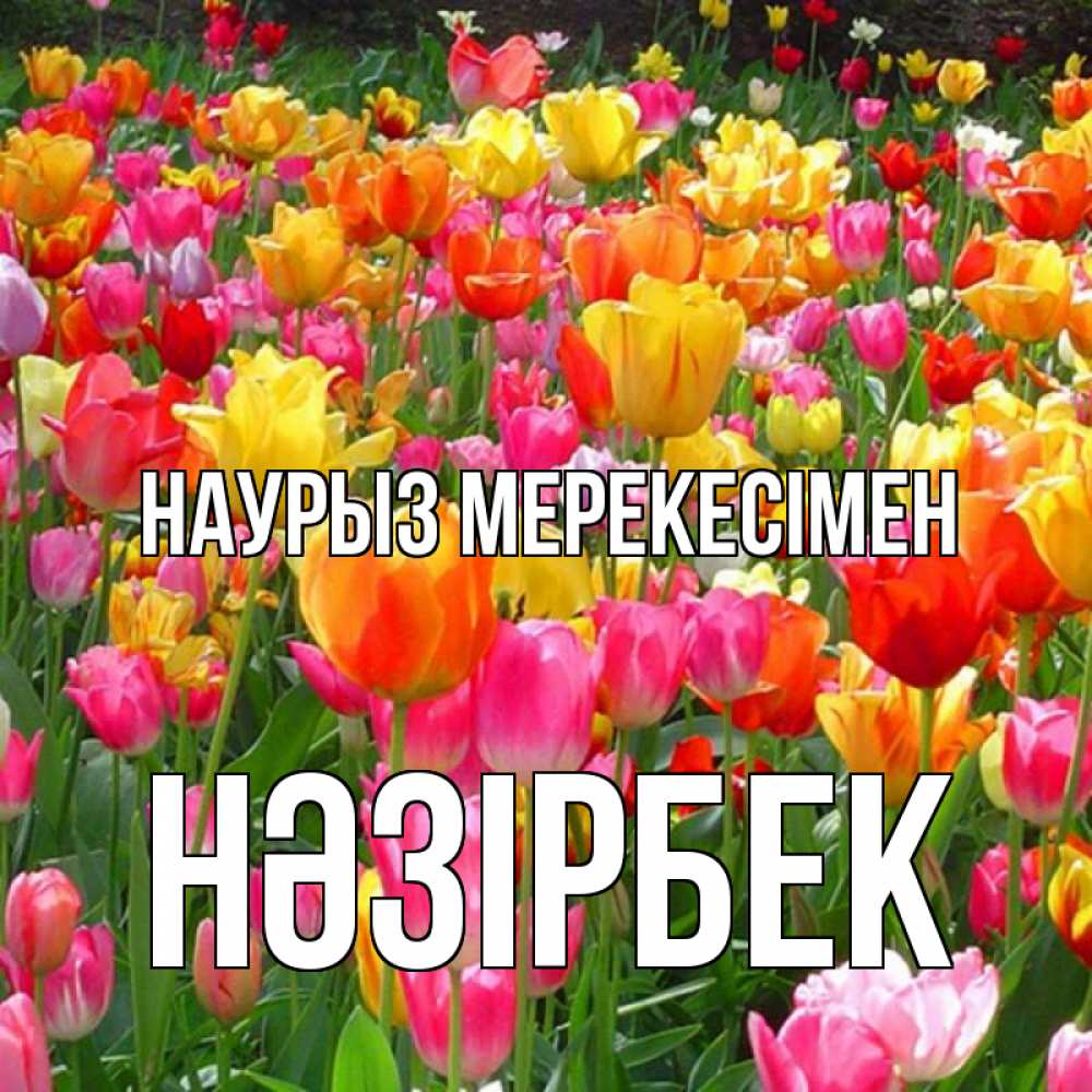 Күн сайын ашық хат с именем, НӘЗІРБЕК Наурыз мерекесімен праздник весны наурыз 4 Онлайн тегін жүктеп алу тілектері бар керемет карта 