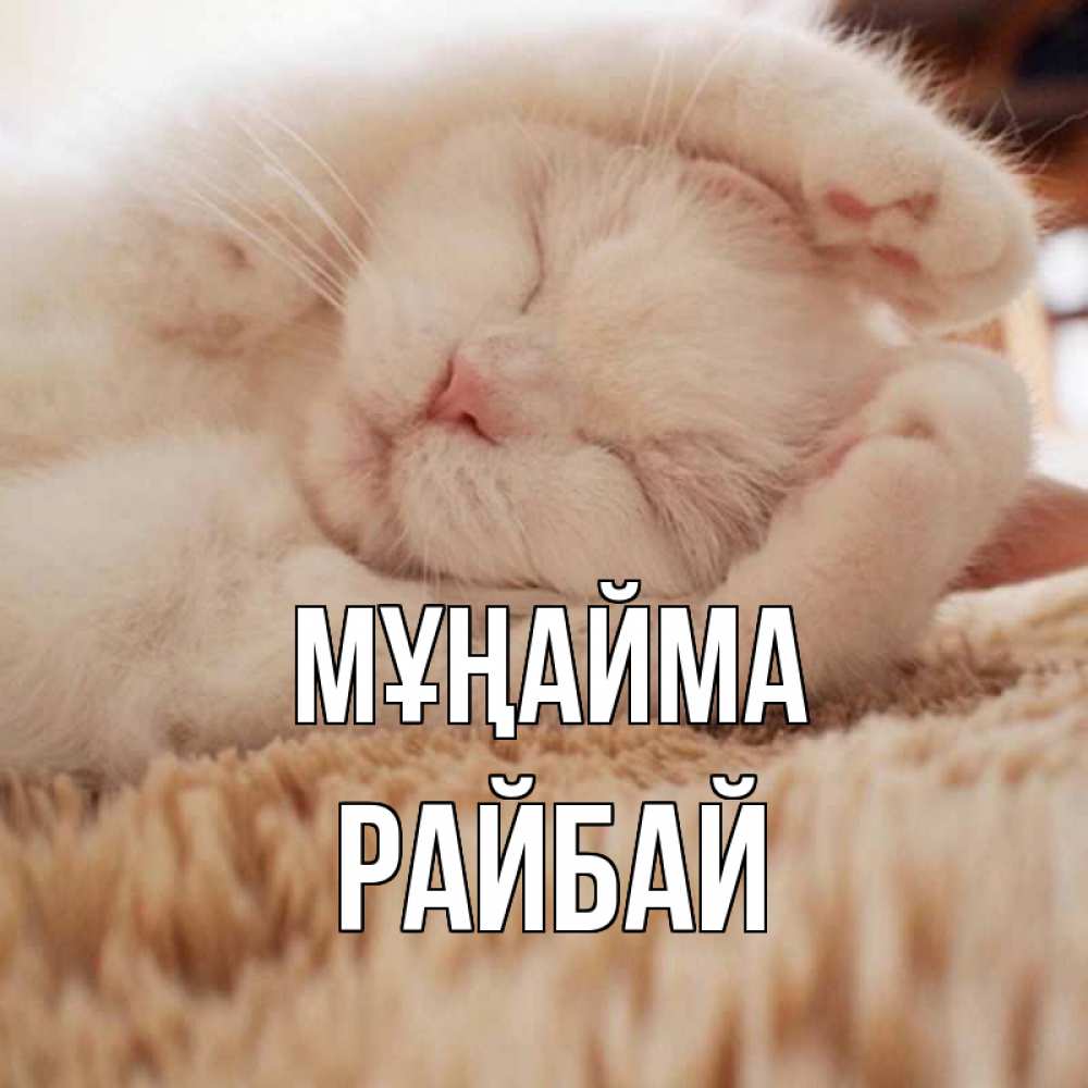 Күн сайын ашық хат с именем, РАЙБАЙ Мұңайма белый кот Онлайн тегін жүктеп алу тілектері бар керемет карта 