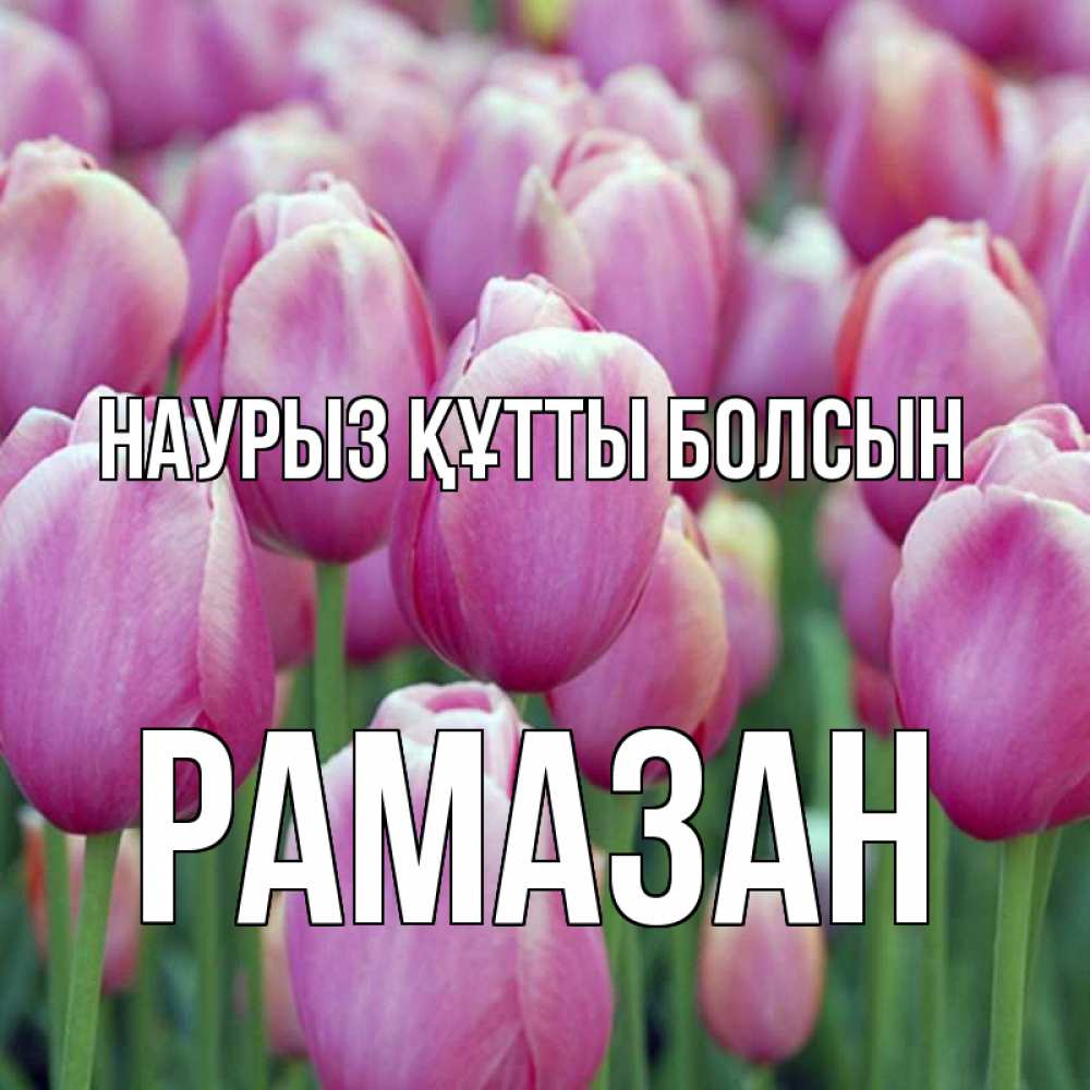 Күн сайын ашық хат с именем, РАМАЗАН Наурыз құтты болсын на наурыз  день 3 Онлайн тегін жүктеп алу тілектері бар керемет карта 
