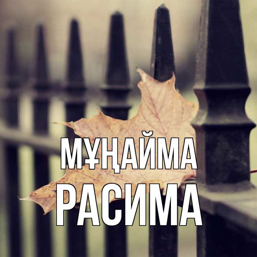 Күн сайын ашық хат с именем, РАСИМА Мұңайма лист клена Онлайн тегін жүктеп алу тілектері бар керемет карта 