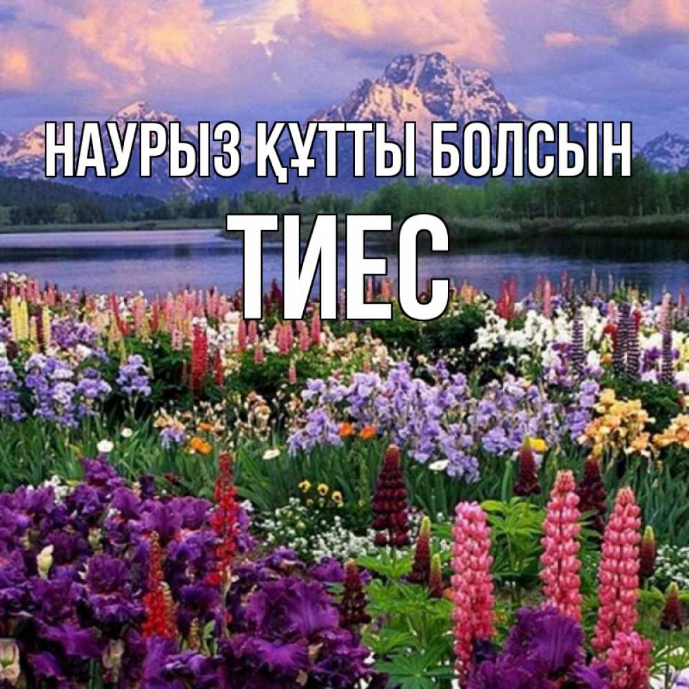 Күн сайын ашық хат с именем, ТИЕС Наурыз құтты болсын наурыз Онлайн тегін жүктеп алу тілектері бар керемет карта 