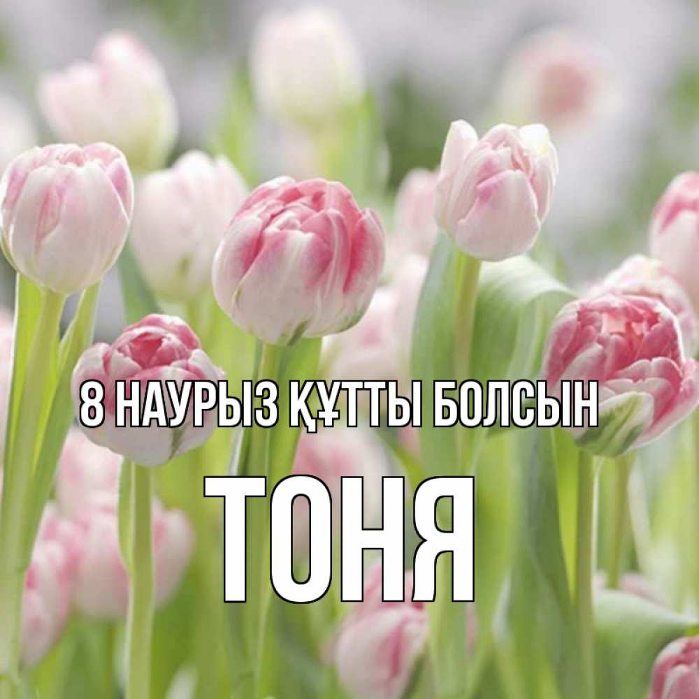 Күн сайын ашық хат с именем, Тоня 8 наурыз құтты болсын цветы Онлайн тегін жүктеп алу тілектері бар керемет карта 