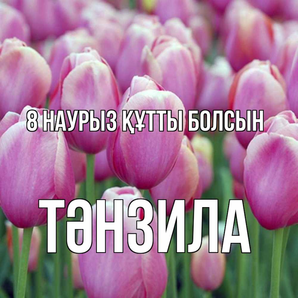Күн сайын ашық хат с именем, ТӘНЗИЛА 8 наурыз құтты болсын на международный женский день 3 Онлайн тегін жүктеп алу тілектері бар керемет карта 