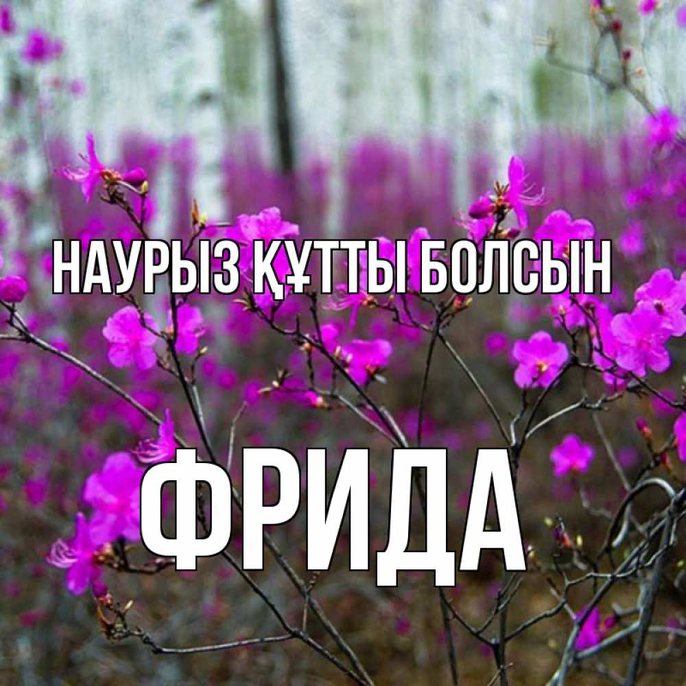 Күн сайын ашық хат с именем, Фрида Наурыз құтты болсын дикие цветы Онлайн тегін жүктеп алу тілектері бар керемет карта 