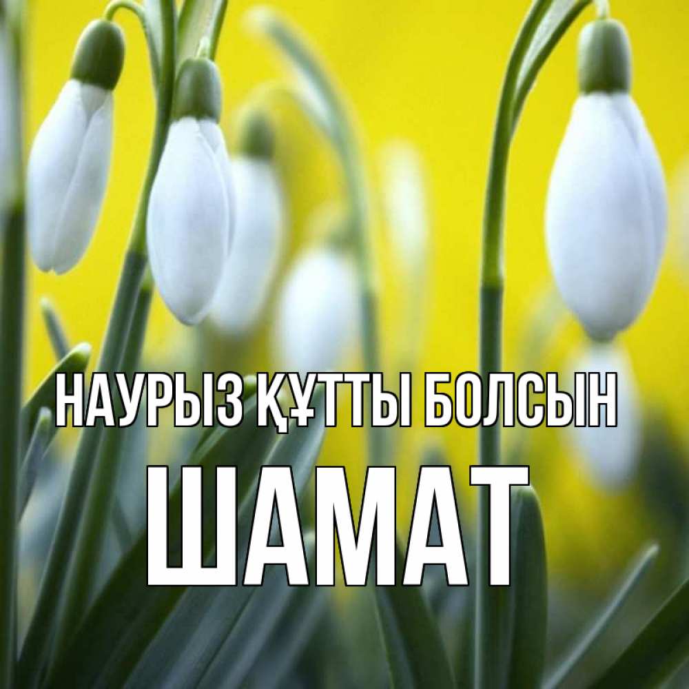 Күн сайын ашық хат с именем, ШАМАТ Наурыз құтты болсын весенние цветы Онлайн тегін жүктеп алу тілектері бар керемет карта 