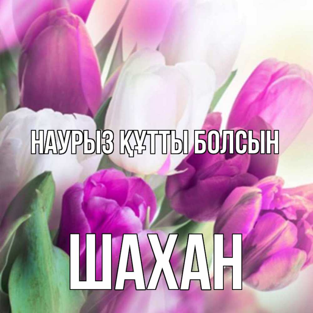 Күн сайын ашық хат с именем, ШАХАН Наурыз құтты болсын весна 1 Онлайн тегін жүктеп алу тілектері бар керемет карта 
