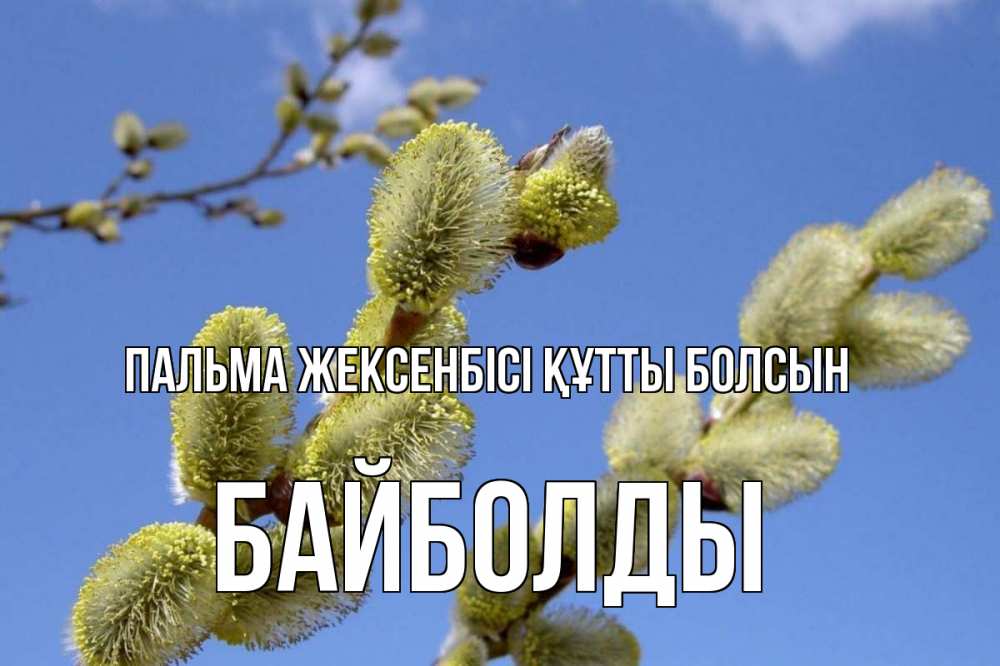 Күн сайын ашық хат с именем, Байболды Пальма жексенбісі құтты болсын верба Онлайн тегін жүктеп алу тілектері бар керемет карта 