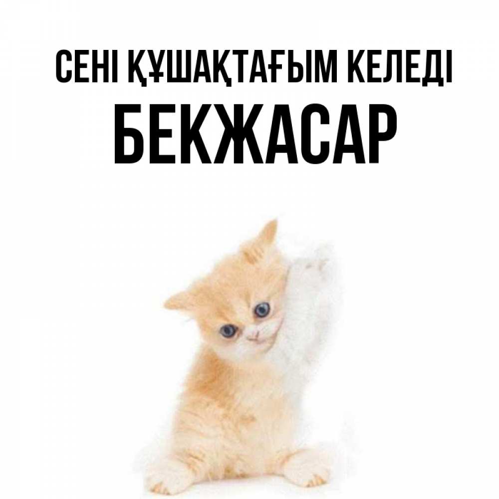 Күн сайын ашық хат с именем, Бекжасар сені құшақтағым келеді я хочу очень скорее обнимаешек Онлайн тегін жүктеп алу тілектері бар керемет карта 