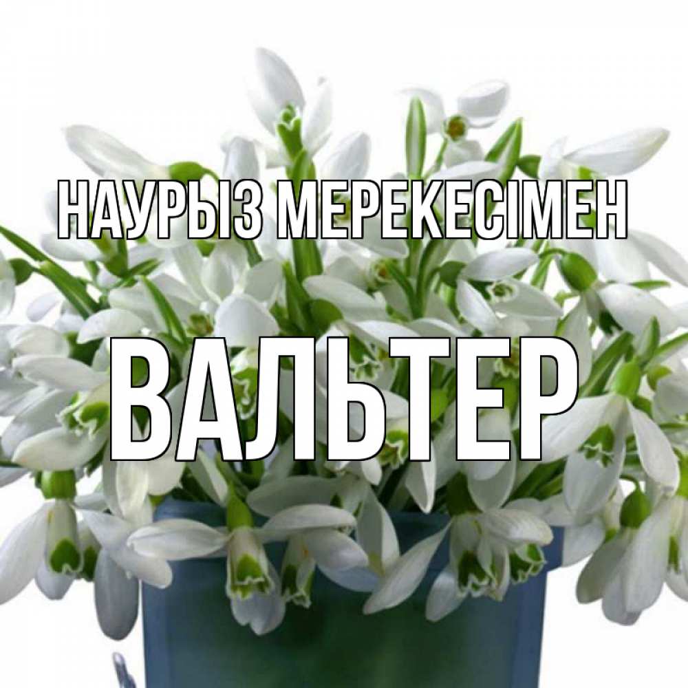 Күн сайын ашық хат с именем, Вальтер Наурыз мерекесімен цветы к наурызу новый год в Казахстане Онлайн тегін жүктеп алу тілектері бар керемет карта 