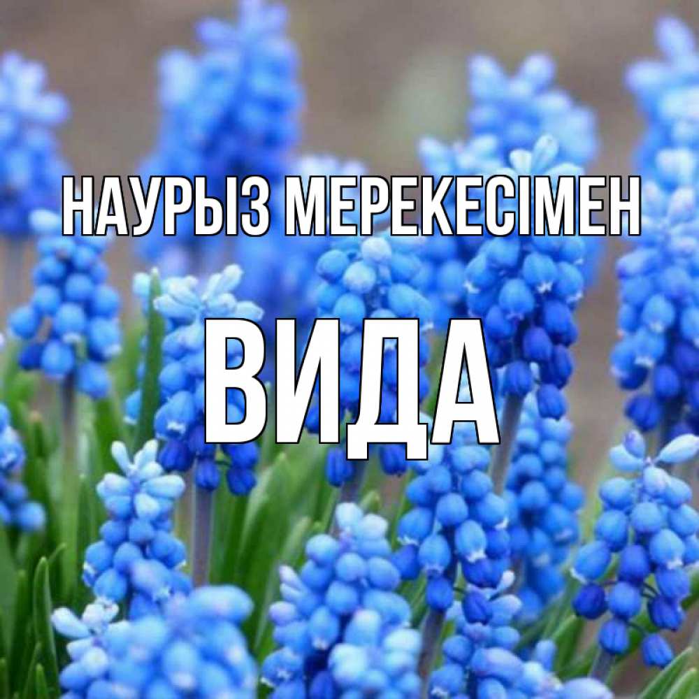 Күн сайын ашық хат с именем, Вида Наурыз мерекесімен Поздравительная открытка для женщин с цветами на праздничную дату Онлайн тегін жүктеп алу тілектері бар керемет карта 