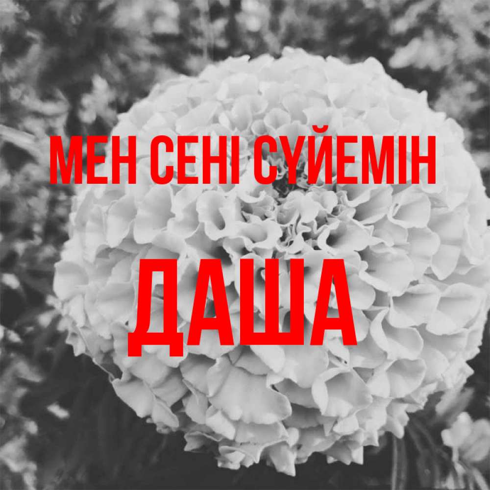 Күн сайын ашық хат с именем, Даша Мен сені сүйемін подпись Онлайн тегін жүктеп алу тілектері бар керемет карта 