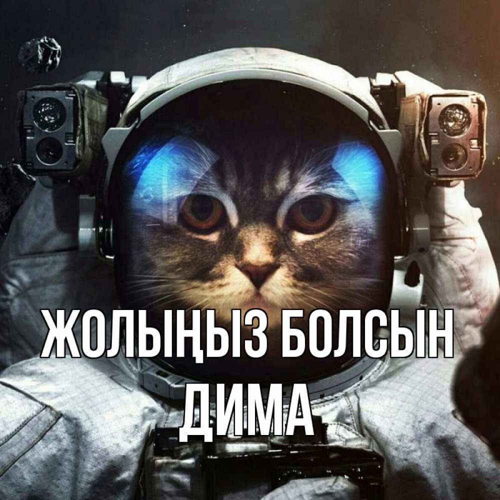 Күн сайын ашық хат с именем, Дима Жолыңыз болсын желает удачно добраться Онлайн тегін жүктеп алу тілектері бар керемет карта 