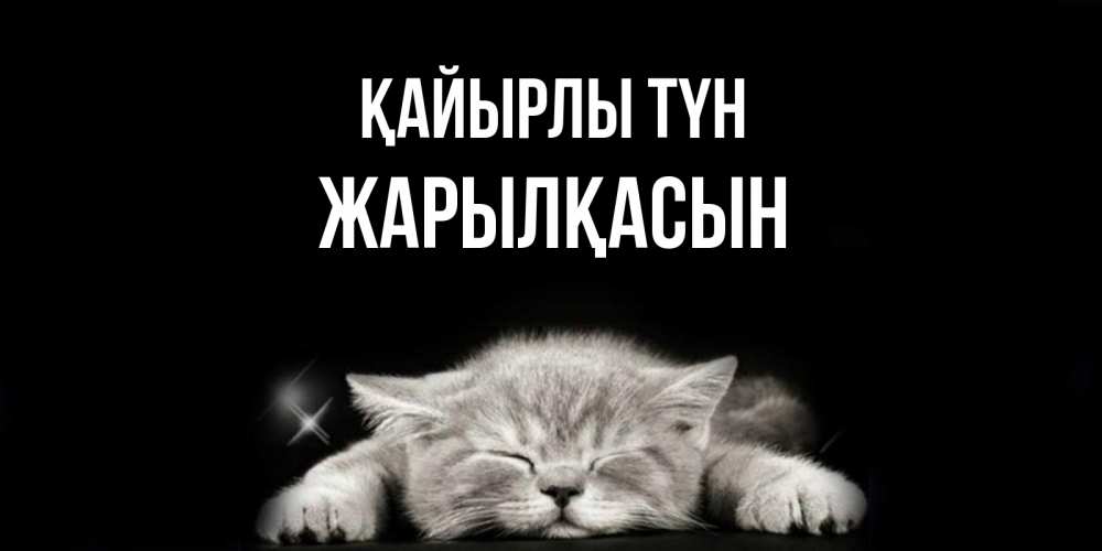 Күн сайын ашық хат с именем, Жарылқасын Қайырлы түн спящий котик Онлайн тегін жүктеп алу тілектері бар керемет карта 