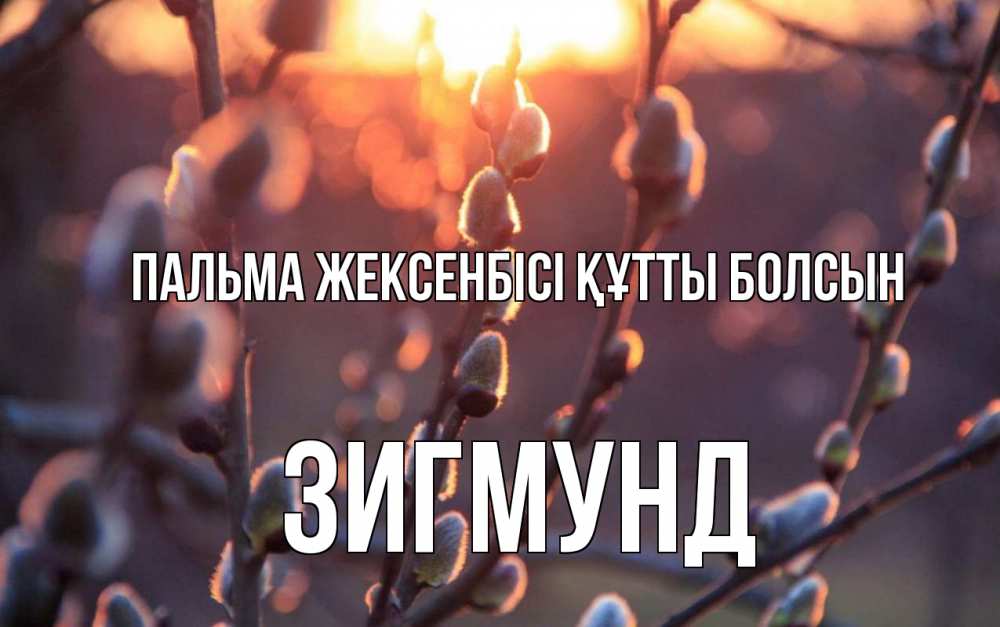 Күн сайын ашық хат с именем, Зигмунд Пальма жексенбісі құтты болсын верба Онлайн тегін жүктеп алу тілектері бар керемет карта 