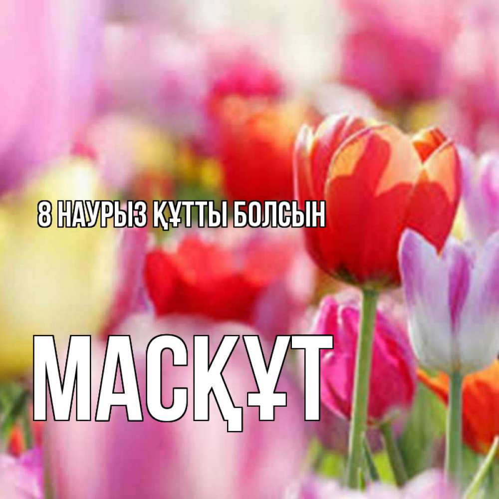 Күн сайын ашық хат с именем, МАСҚҰТ 8 наурыз құтты болсын на международный женский день 2 Онлайн тегін жүктеп алу тілектері бар керемет карта 