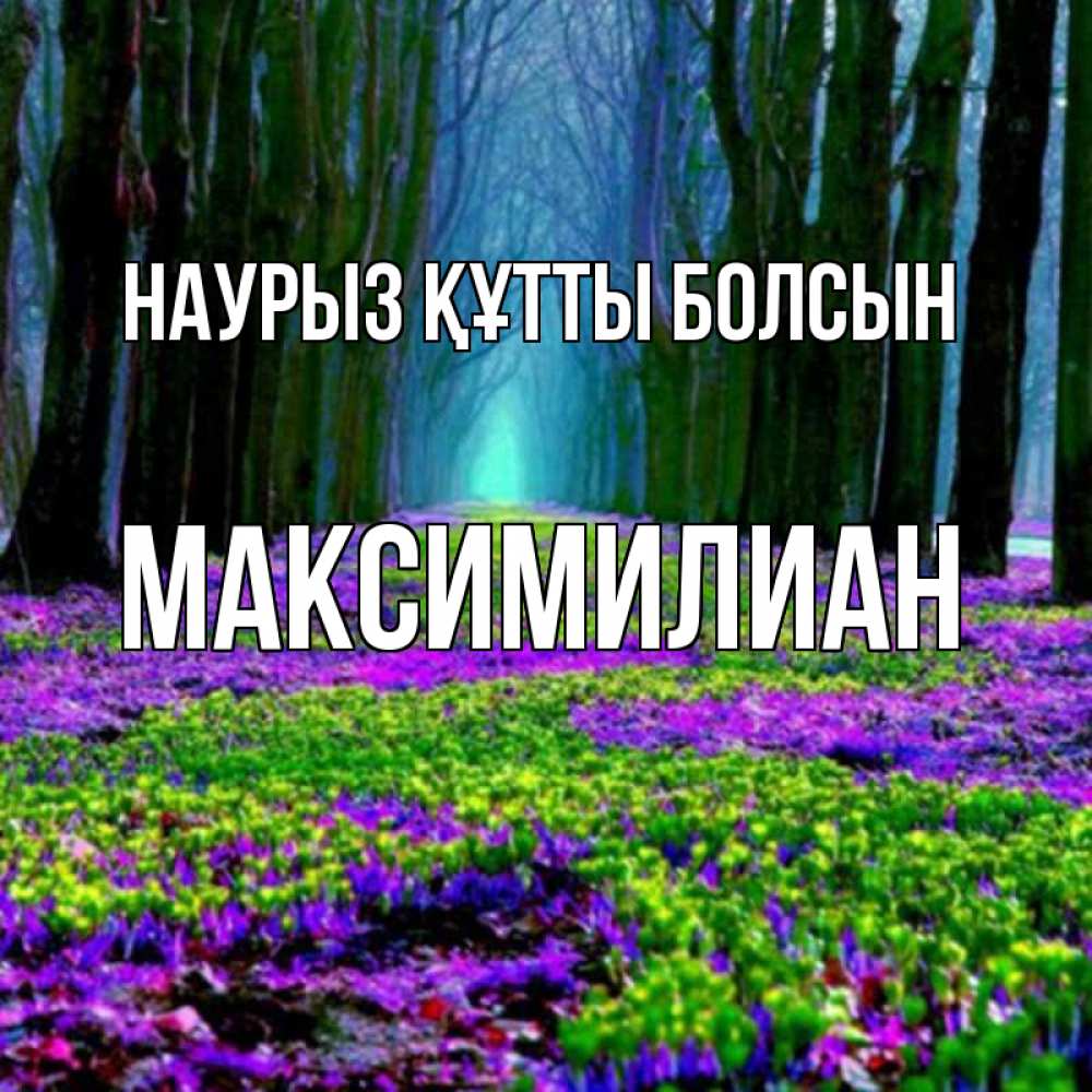 Күн сайын ашық хат с именем, Максимилиан Наурыз құтты болсын фиолетовые цветы в лесу 1 Онлайн тегін жүктеп алу тілектері бар керемет карта 