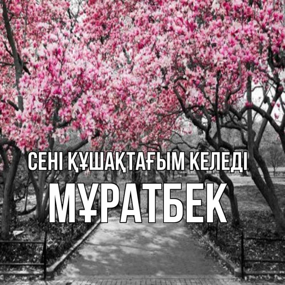 Күн сайын ашық хат с именем, Мұратбек сені құшақтағым келеді обработанное фото Онлайн тегін жүктеп алу тілектері бар керемет карта 
