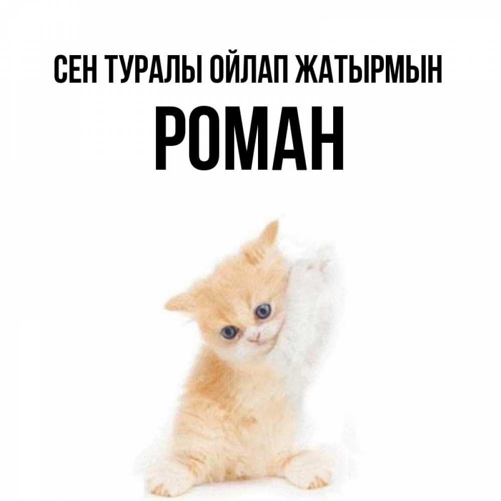 Күн сайын ашық хат с именем, Роман Сен туралы ойлап жатырмын зверушки и милота Онлайн тегін жүктеп алу тілектері бар керемет карта 