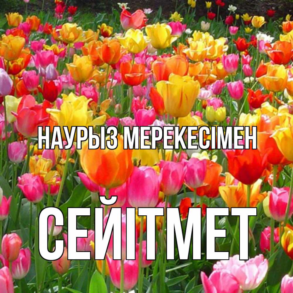 Күн сайын ашық хат с именем, СЕЙІТМЕТ Наурыз мерекесімен праздник весны наурыз 4 Онлайн тегін жүктеп алу тілектері бар керемет карта 