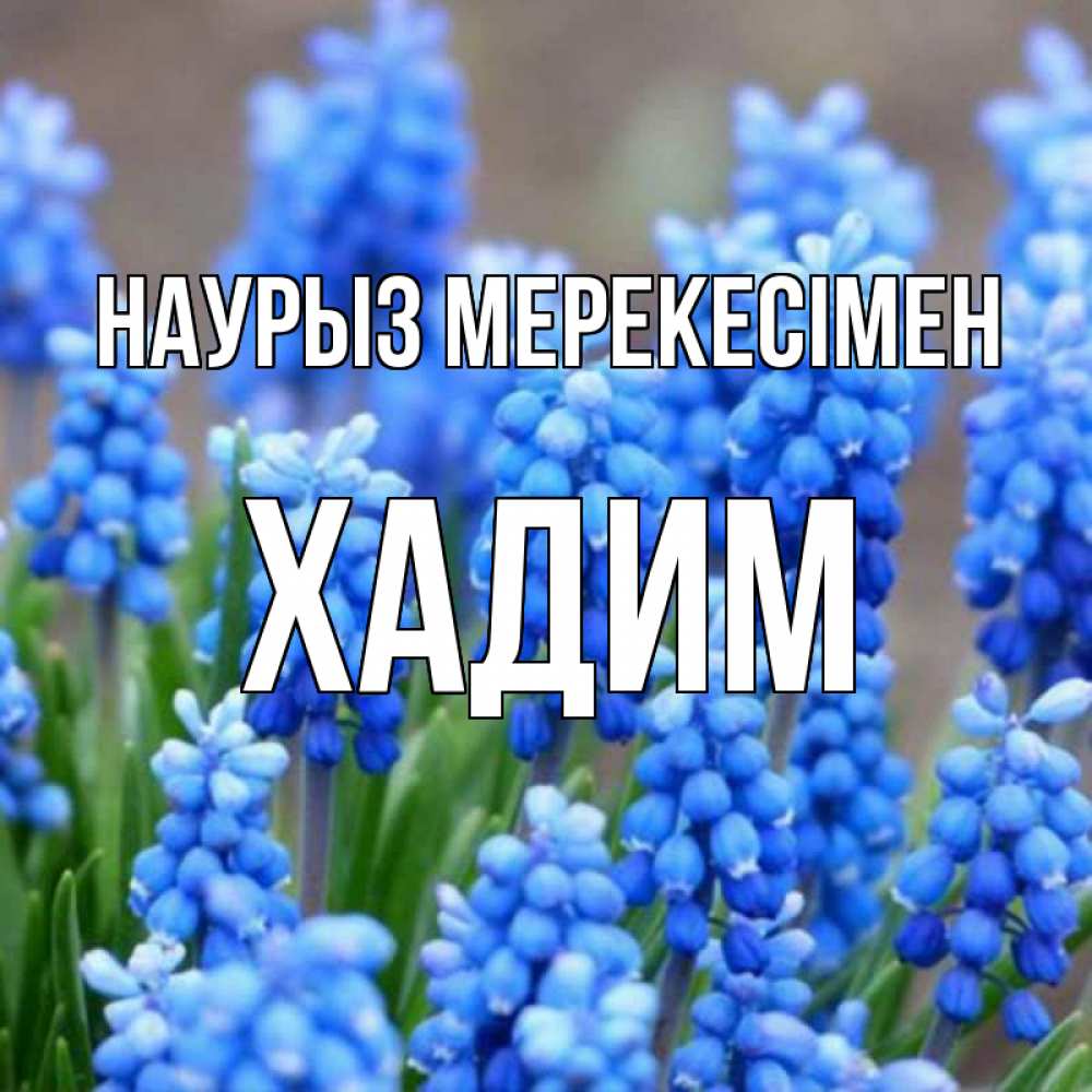 Күн сайын ашық хат с именем, ХАДИМ Наурыз мерекесімен Поздравительная открытка для женщин с цветами на праздничную дату Онлайн тегін жүктеп алу тілектері бар керемет карта 