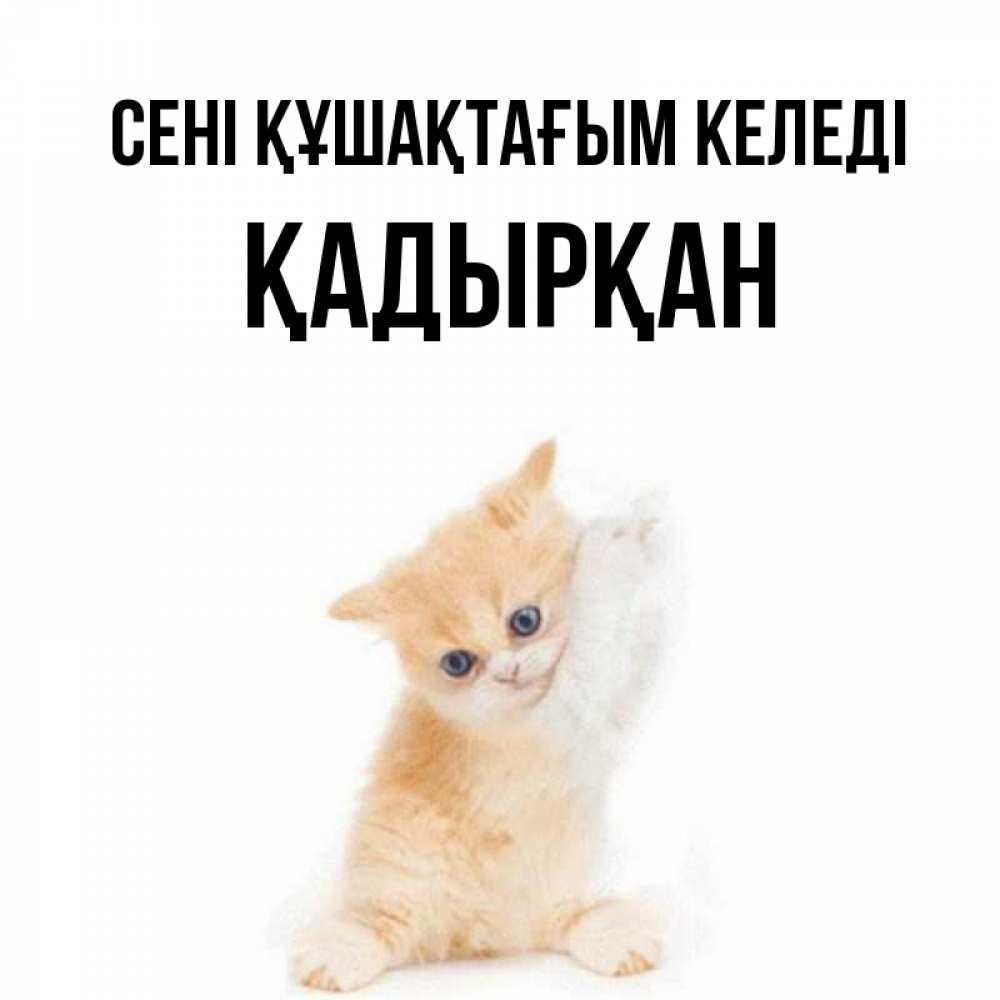 Күн сайын ашық хат с именем, Қадырқан сені құшақтағым келеді я хочу очень скорее обнимаешек Онлайн тегін жүктеп алу тілектері бар керемет карта 