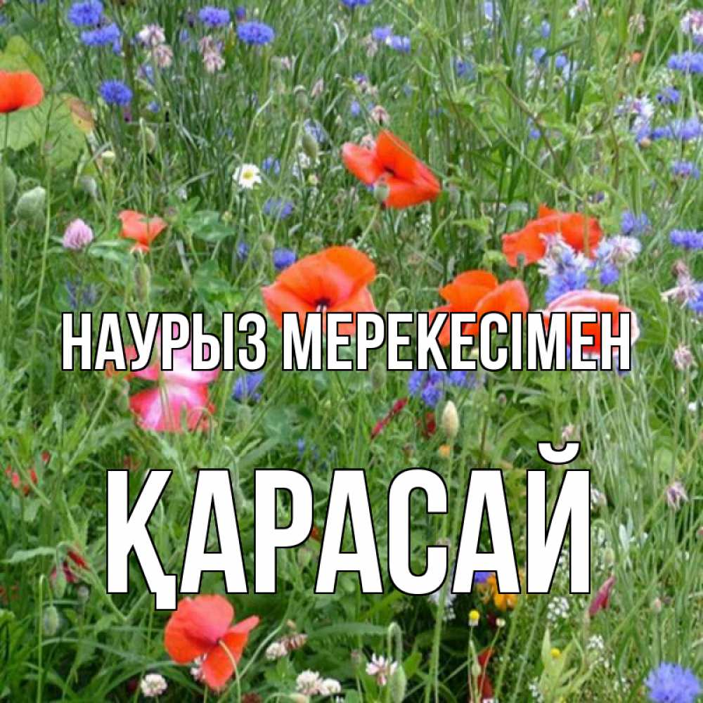Күн сайын ашық хат с именем, Қарасай Наурыз мерекесімен праздник весны наурыз супер открытка Онлайн тегін жүктеп алу тілектері бар керемет карта 