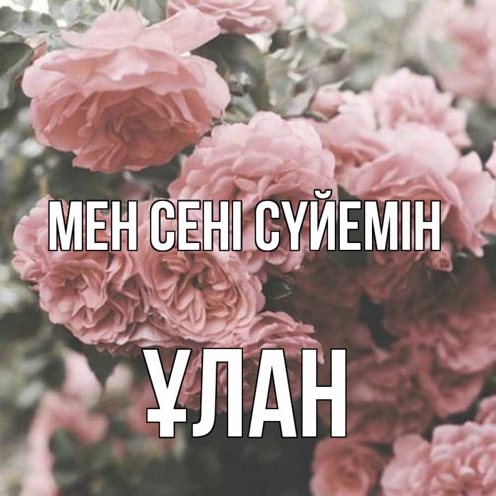 Күн сайын ашық хат с именем, ҰЛАН Мен сені сүйемін розы 3 Онлайн тегін жүктеп алу тілектері бар керемет карта 