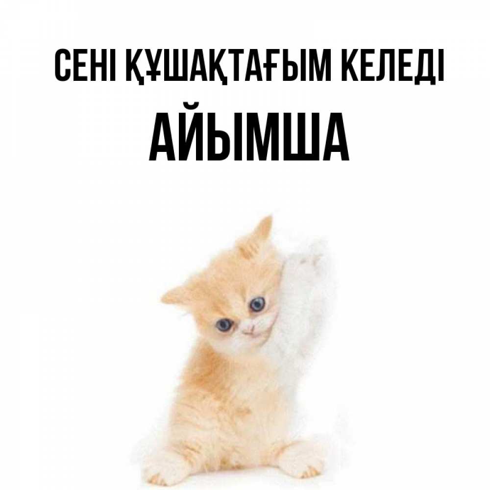 Күн сайын ашық хат с именем, АЙЫМША сені құшақтағым келеді я хочу очень скорее обнимаешек Онлайн тегін жүктеп алу тілектері бар керемет карта 