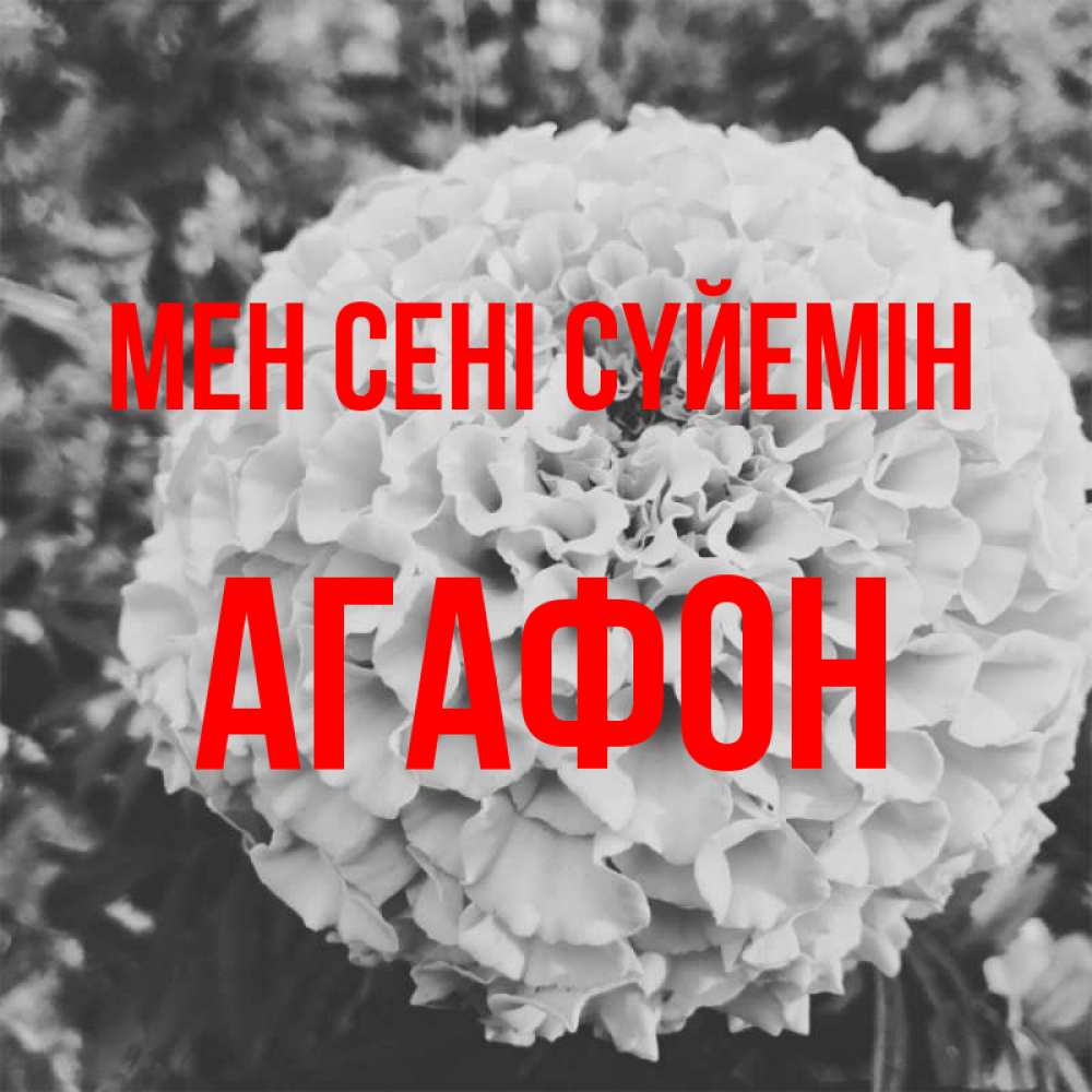 Күн сайын ашық хат с именем, Агафон Мен сені сүйемін подпись Онлайн тегін жүктеп алу тілектері бар керемет карта 