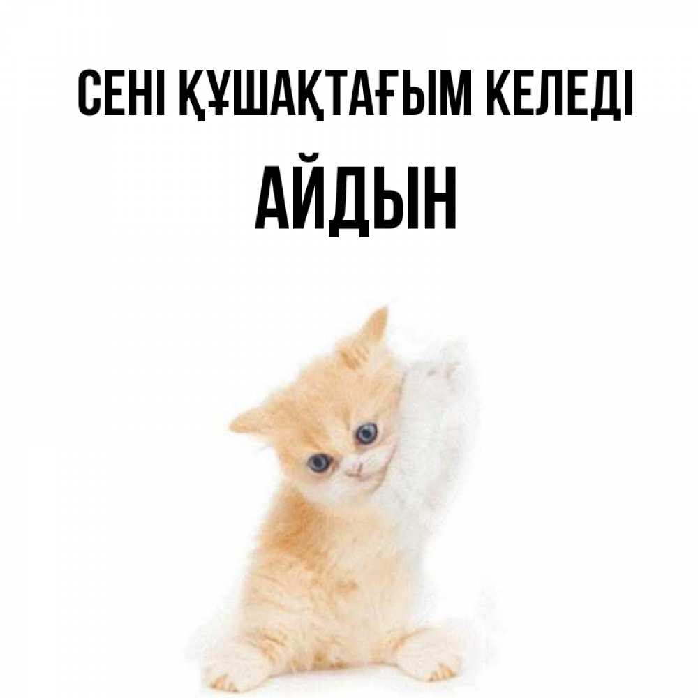 Күн сайын ашық хат с именем, Айдын сені құшақтағым келеді я хочу очень скорее обнимаешек Онлайн тегін жүктеп алу тілектері бар керемет карта 