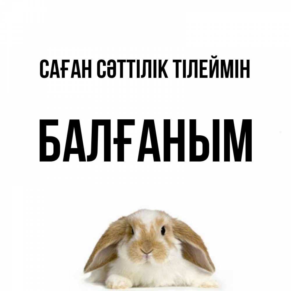 Күн сайын ашық хат с именем, БАЛҒАНЫМ Саған сәттілік тілеймін открытки с произвольным текстом который можно вставить в открытку и создать ее самостоятельно бесплатно онлайн Онлайн тегін жүктеп алу тілектері бар керемет карта 