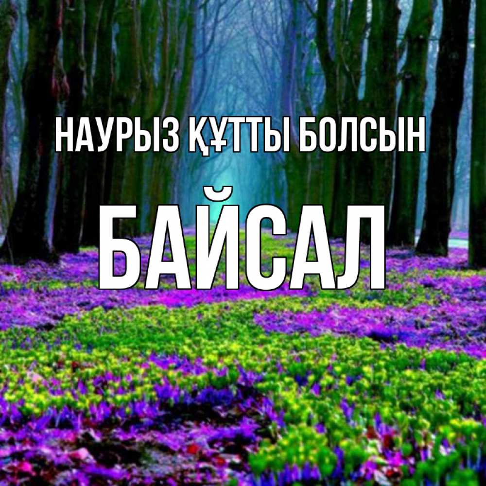 Күн сайын ашық хат с именем, Байсал Наурыз құтты болсын фиолетовые цветы в лесу 1 Онлайн тегін жүктеп алу тілектері бар керемет карта 