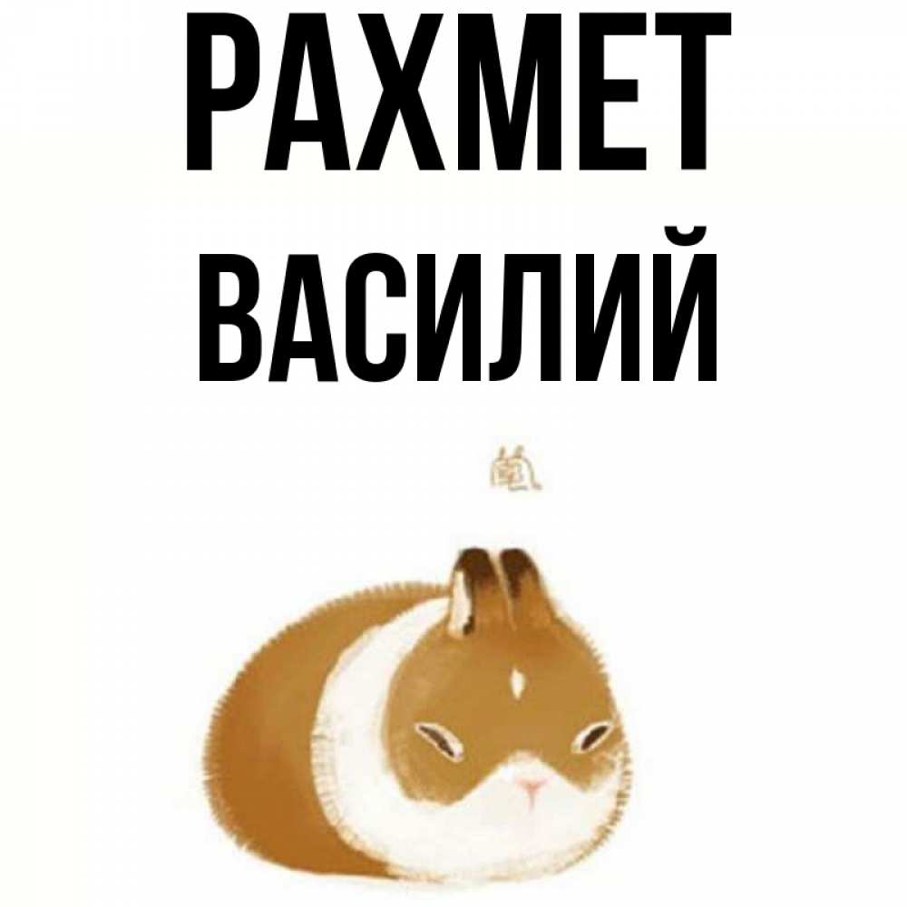 Күн сайын ашық хат с именем, Василий рахмет коричнево белый домашний питомец Онлайн тегін жүктеп алу тілектері бар керемет карта 