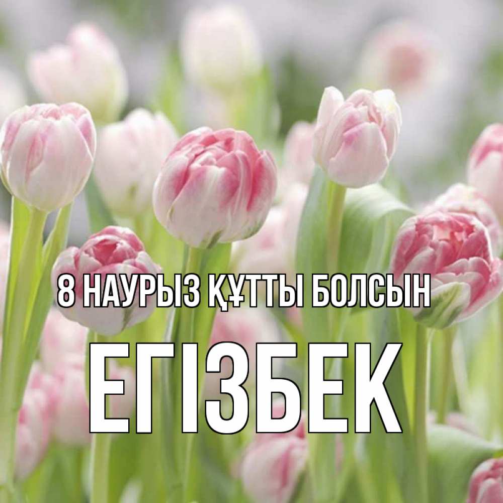 Күн сайын ашық хат с именем, Егізбек 8 наурыз құтты болсын цветы Онлайн тегін жүктеп алу тілектері бар керемет карта 
