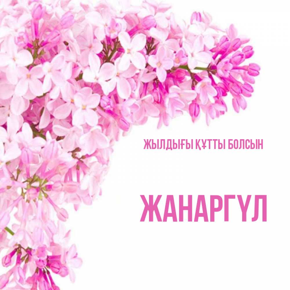 Күн сайын ашық хат с именем, ЖАНАРГҮЛ Жылдығы құтты болсын Сирень на белом фоне Онлайн тегін жүктеп алу тілектері бар керемет карта 