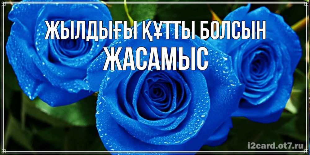 Күн сайын ашық хат с именем, Жасамыс Жылдығы құтты болсын розы с синим цветом Онлайн тегін жүктеп алу тілектері бар керемет карта 