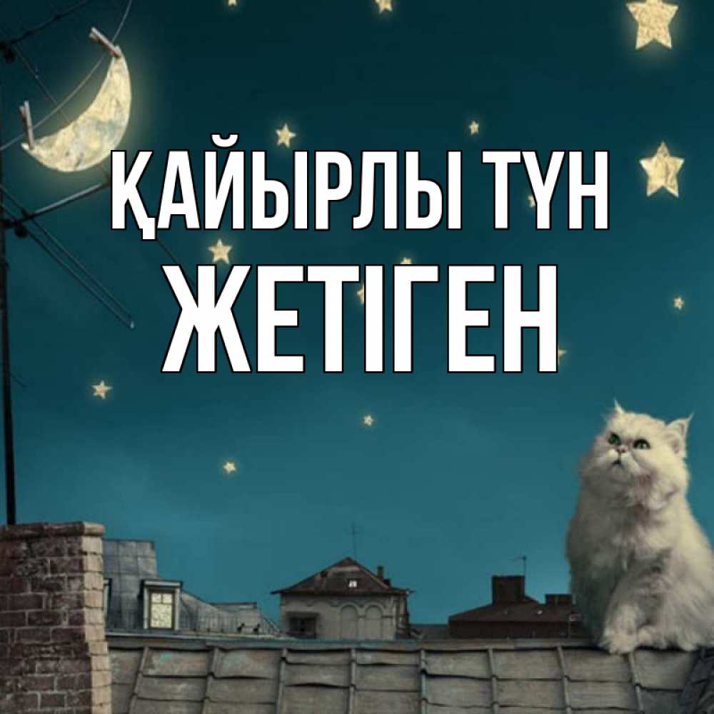Күн сайын ашық хат с именем, Жетіген Қайырлы түн белый кот сидит на крыше Онлайн тегін жүктеп алу тілектері бар керемет карта 