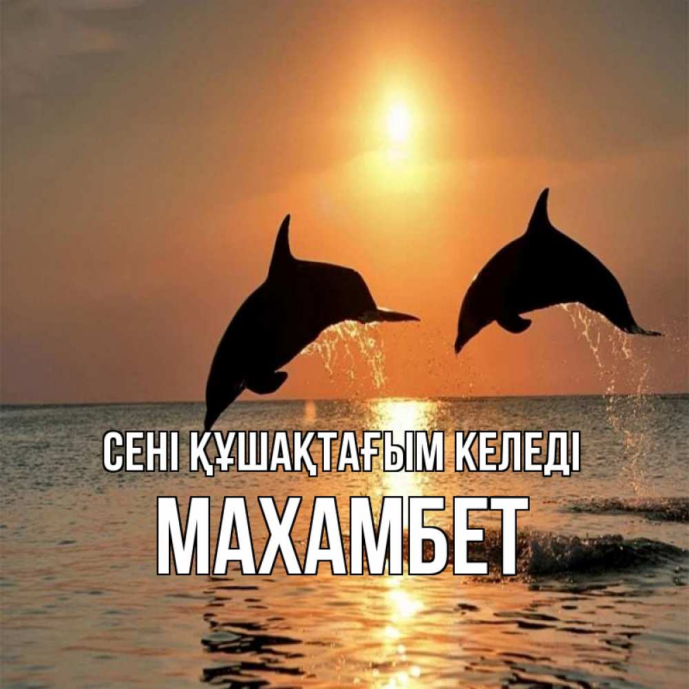 Күн сайын ашық хат с именем, МАХАМБЕТ сені құшақтағым келеді рыбы на закате Онлайн тегін жүктеп алу тілектері бар керемет карта 