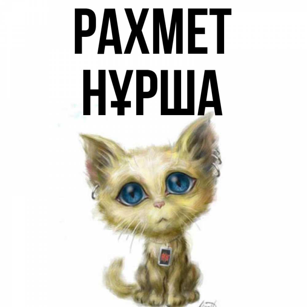 Күн сайын ашық хат с именем, НҰРША рахмет рисованный кот благодарит вас Онлайн тегін жүктеп алу тілектері бар керемет карта 