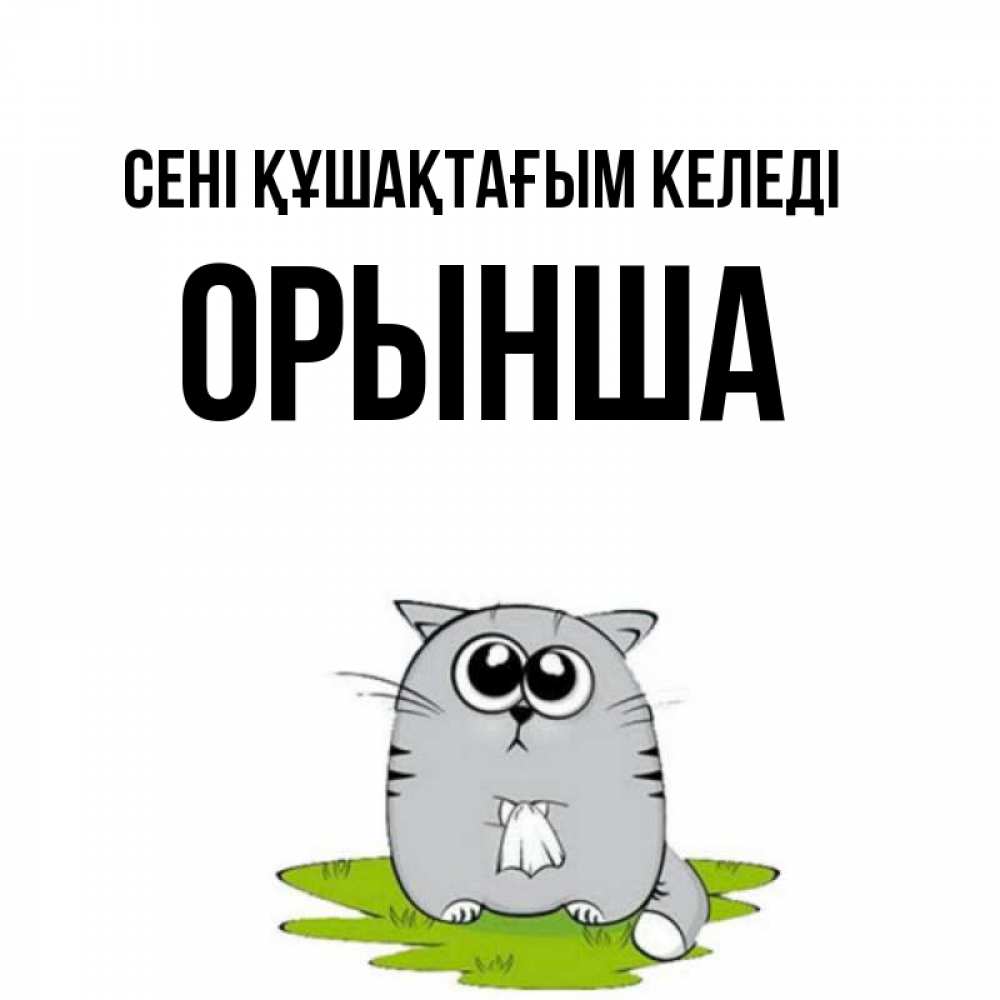 Күн сайын ашық хат с именем, ОРЫНША сені құшақтағым келеді котик теребит платочек сидя на травке Онлайн тегін жүктеп алу тілектері бар керемет карта 