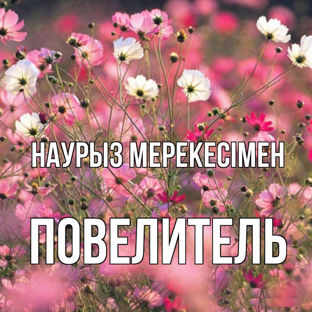 Күн сайын ашық хат с именем, Повелитель Наурыз мерекесімен красиво 1 Онлайн тегін жүктеп алу тілектері бар керемет карта 