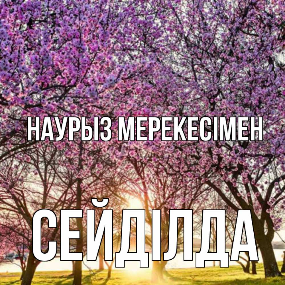 Күн сайын ашық хат с именем, СЕЙДІЛДА Наурыз мерекесімен праздник весны наурыз Онлайн тегін жүктеп алу тілектері бар керемет карта 