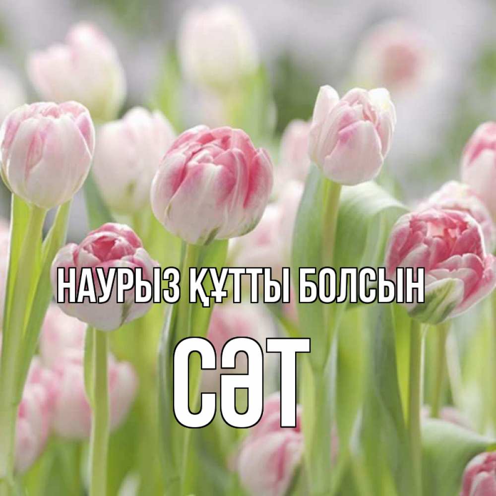 Күн сайын ашық хат с именем, СӘТ Наурыз құтты болсын цветы Онлайн тегін жүктеп алу тілектері бар керемет карта 