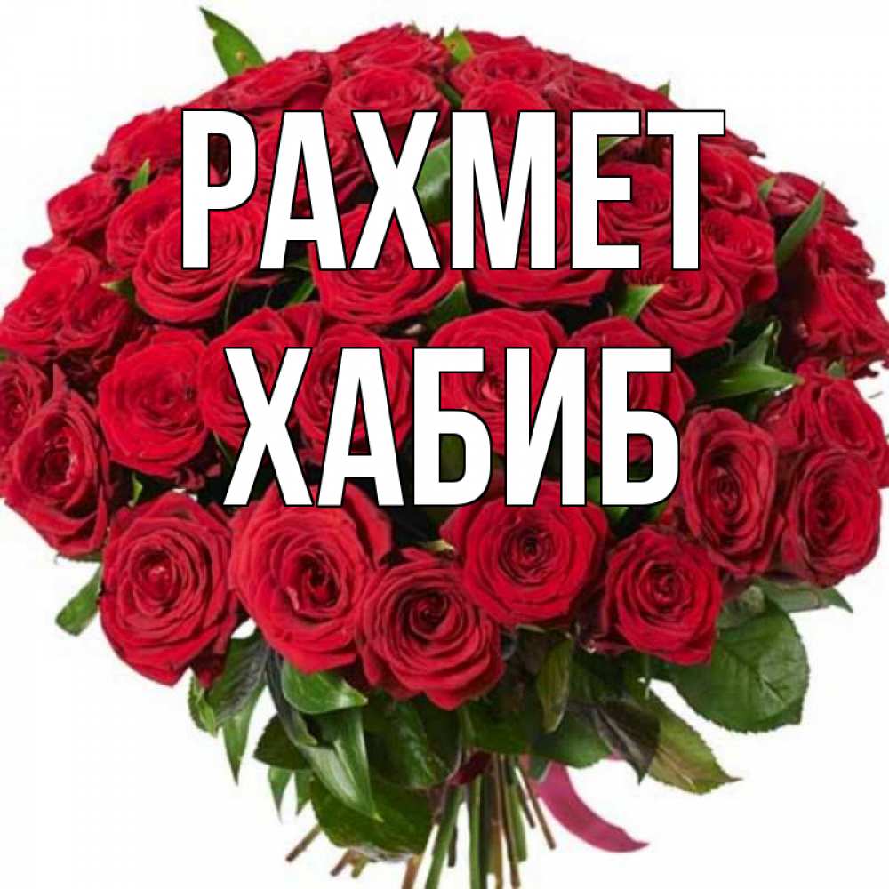 Күн сайын ашық хат с именем, ХАБИБ рахмет букет красных роз Онлайн тегін жүктеп алу тілектері бар керемет карта 