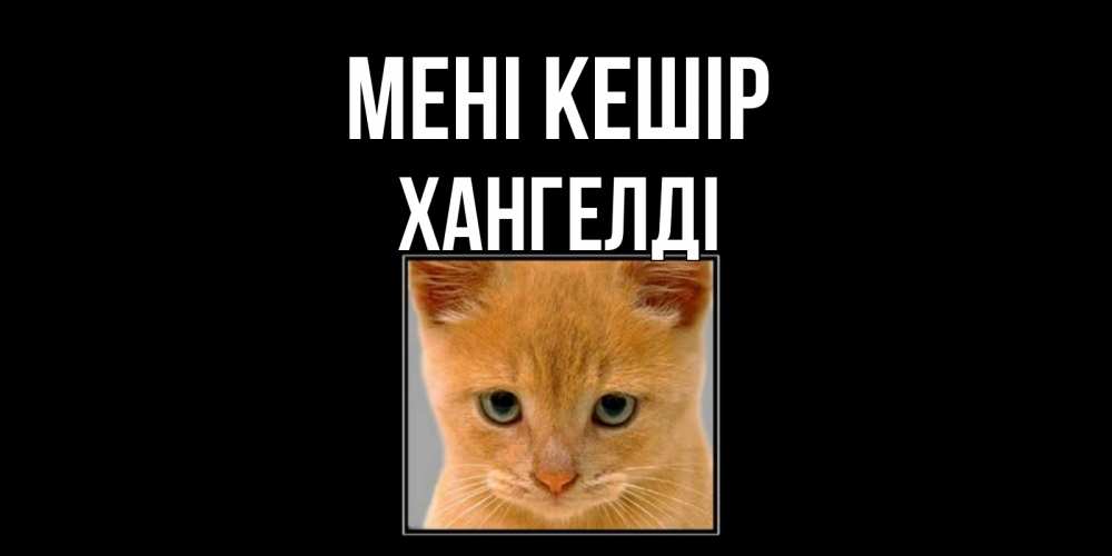 Күн сайын ашық хат с именем, ХАНГЕЛДІ Мені кешір рыжий грустный кот просит прощения Онлайн тегін жүктеп алу тілектері бар керемет карта 